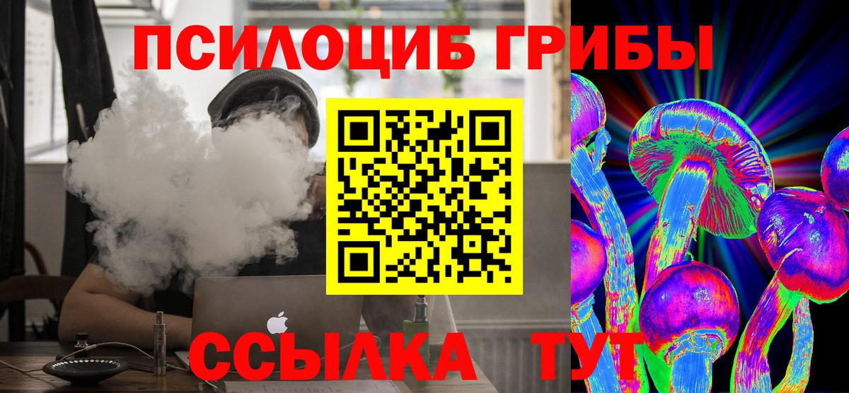 Жуковский  Галлюциногенные грибы Psilocybine cubensis  Вход с VPN 